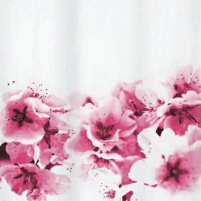 Полноразмерное изображение Полноразмерное изображение