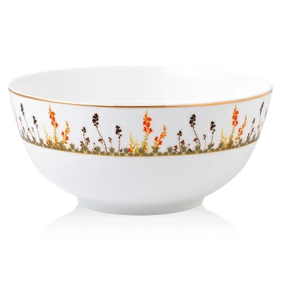 Полноразмерное изображение Полноразмерное изображение