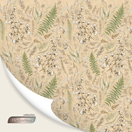 9 Кофр для хранения Hausmann Herbarium 30x40x25см фото 9